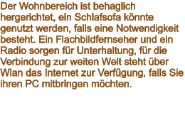 Der Wohnbereich ist behaglich hergerichtet, ein Schlafsofa könnte genutzt werden, falls eine Notwendigkeit besteht. Ein Flachbildfernseher und ein Radio sorgen für Unterhaltung, für die Verbindung zur weiten Welt steht über Wlan das Internet zur Verfügung, falls Sie ihren PC mitbringen möchten.