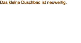 Das kleine Duschbad ist neuwertig.